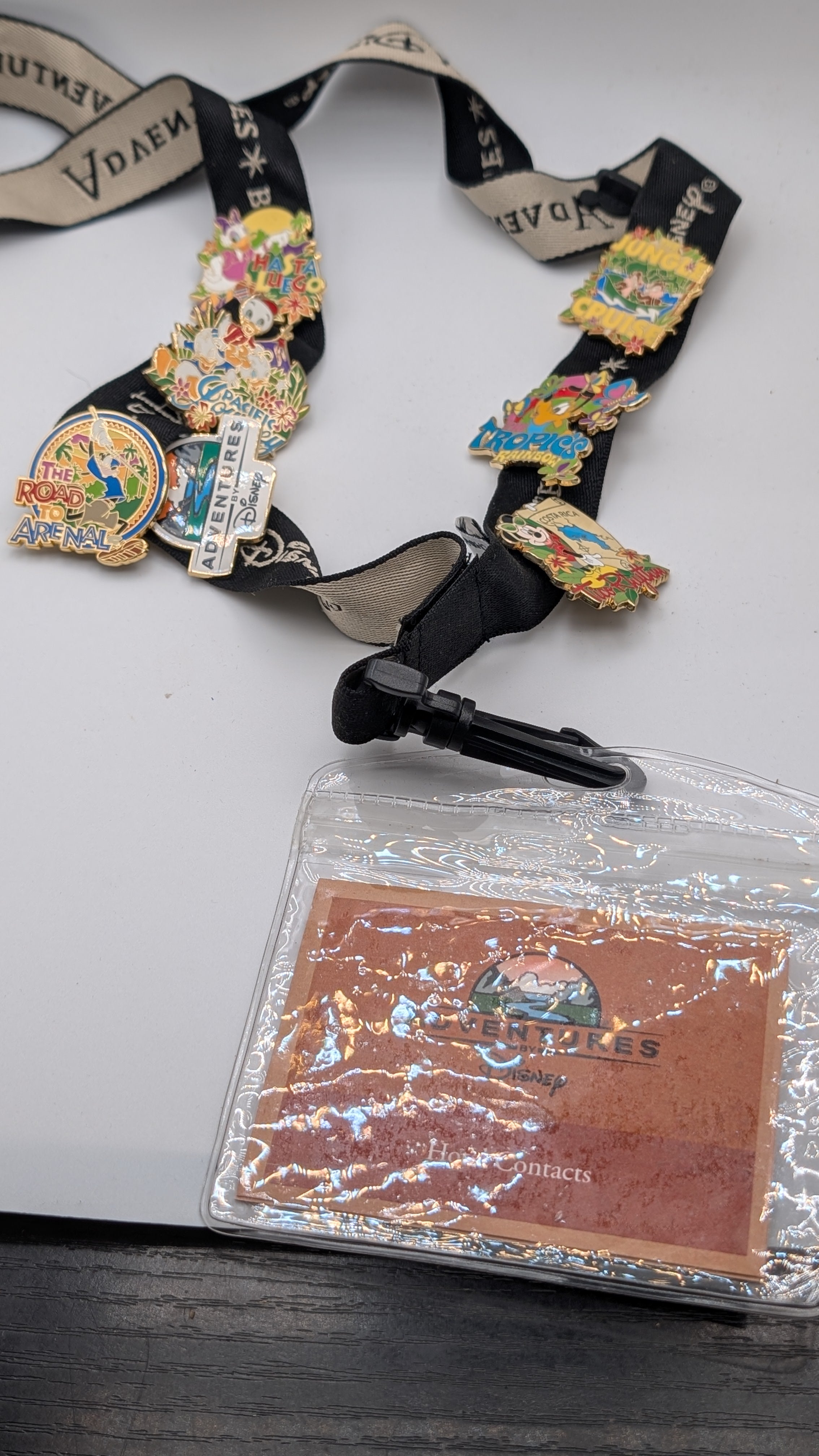 WDW Pin Lanyard with 7 pins